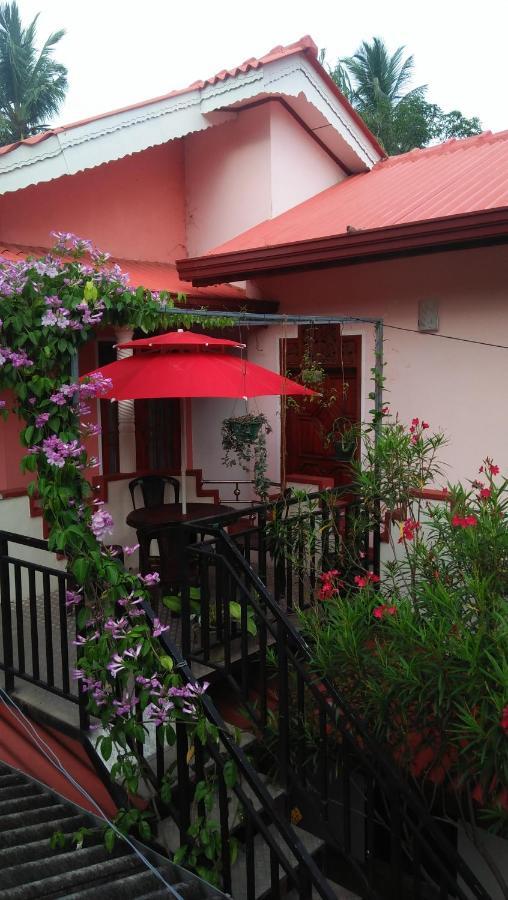 Hotel Tissa Rainbow Guest & Yala Tissamaharama Exterior foto